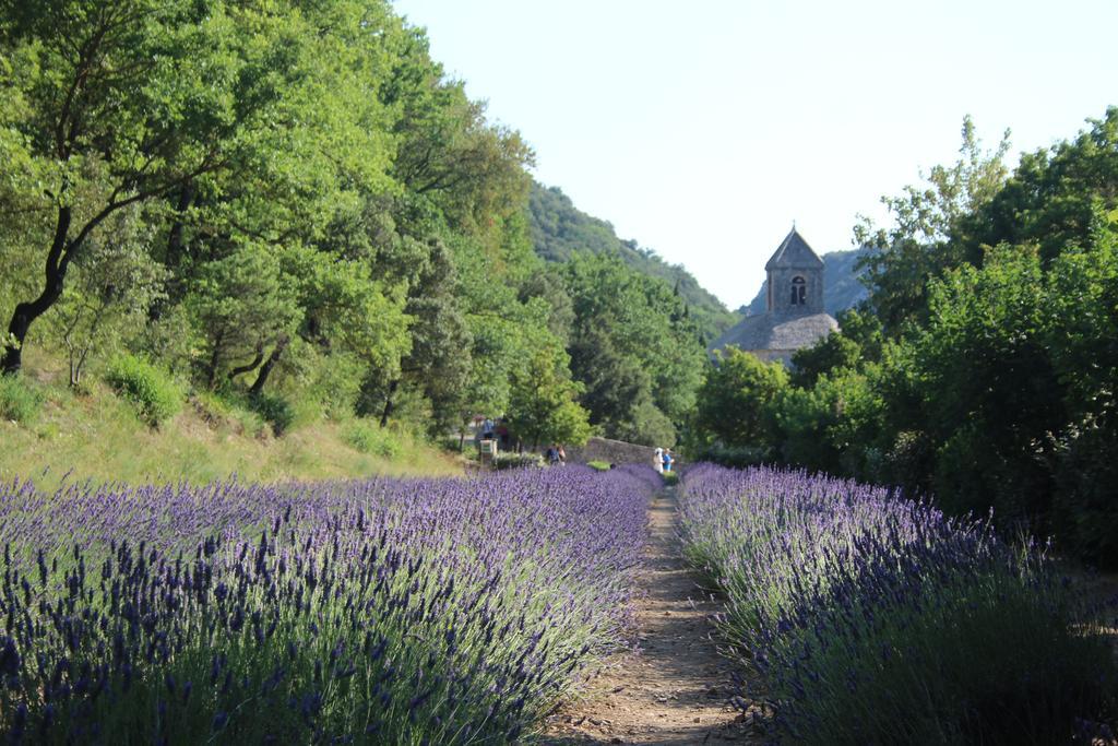 Le Mazet Du Domaine Vila Gordes Exterior foto